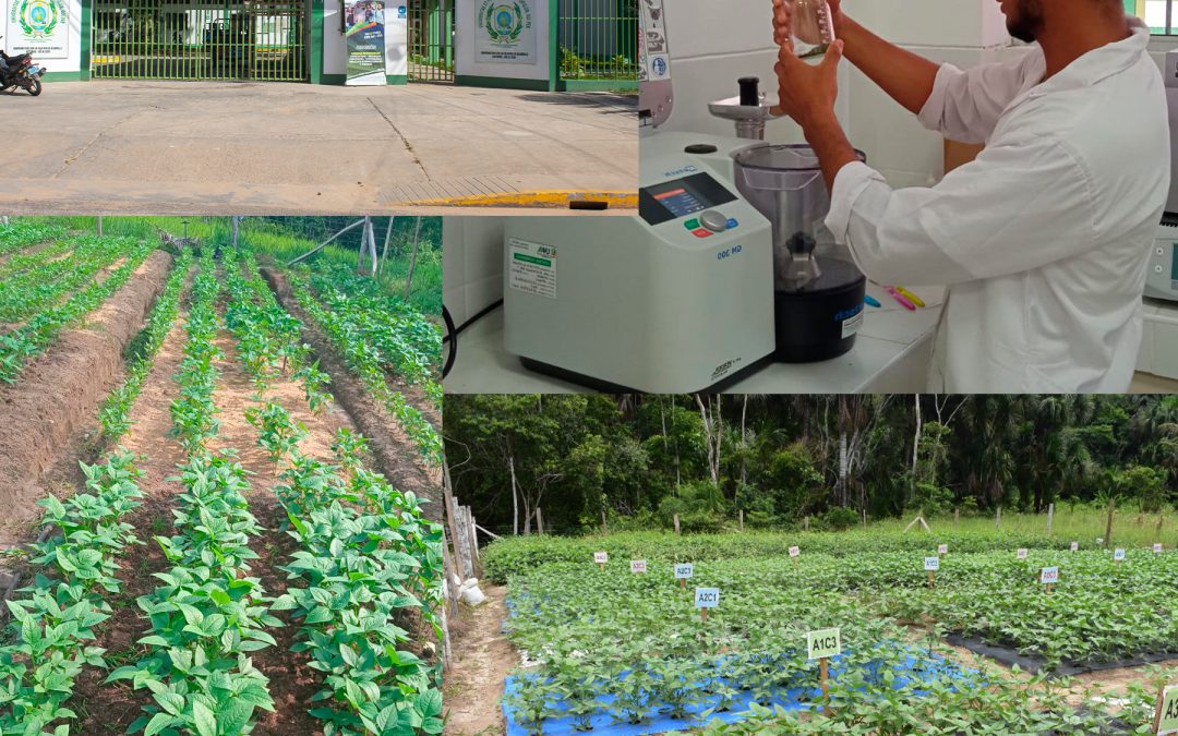UNAAA PUBLICA ARTÍCULO DE INVESTIGACIÓN EN REVISTA DE ALTO IMPACTO: «FRONTIERS IN AGRONOMY»
