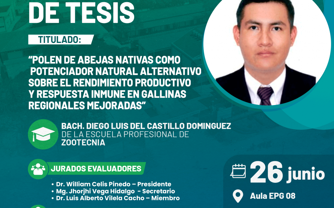 Sustentación de tesis: Polen de abejas nativas como potenciador natural alternativo en gallinas regionales mejoradas