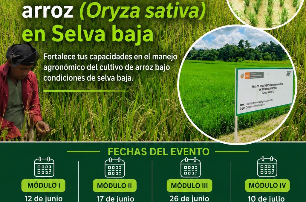 Curso Modular: Manejo integrado en el cultivo de arroz (oryza sativa) en selva baja