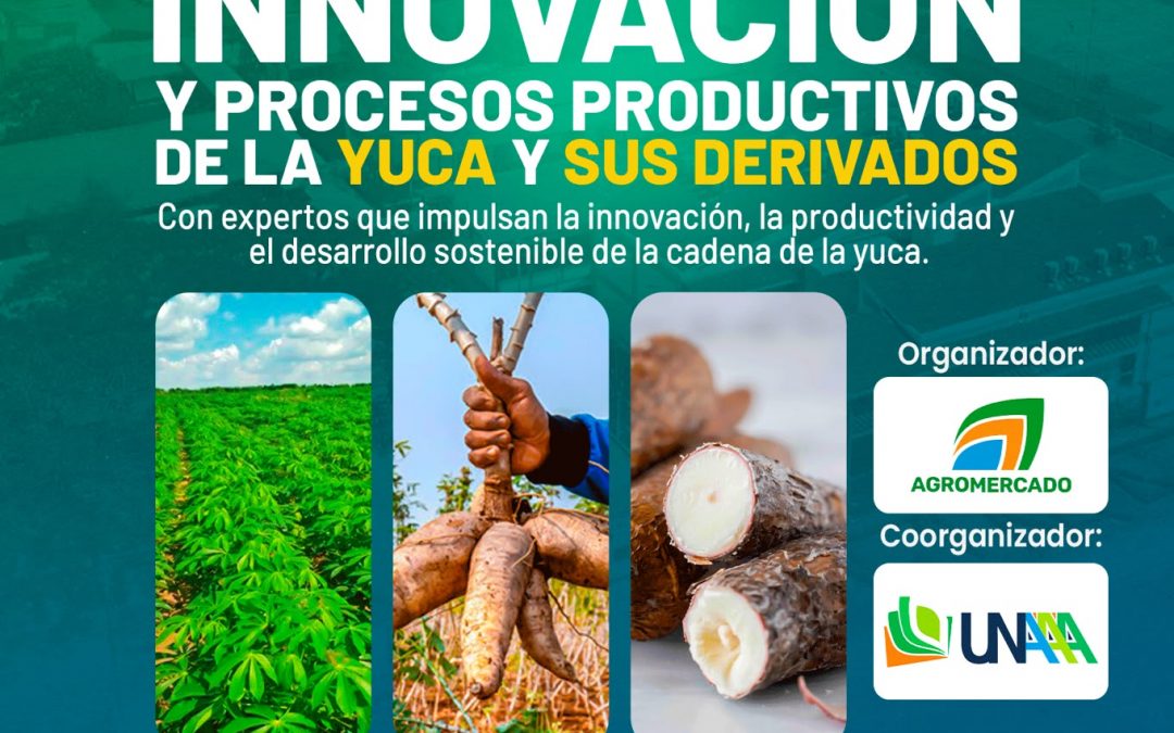 Ponencia Magistral: Innovación y procesos productivos de la yuca y sus derivados