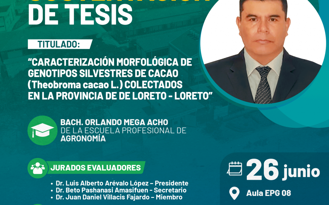 Sustentación de tesis: Caracterización morfológica de genotipos silvestres de cacao colectados en Loreto