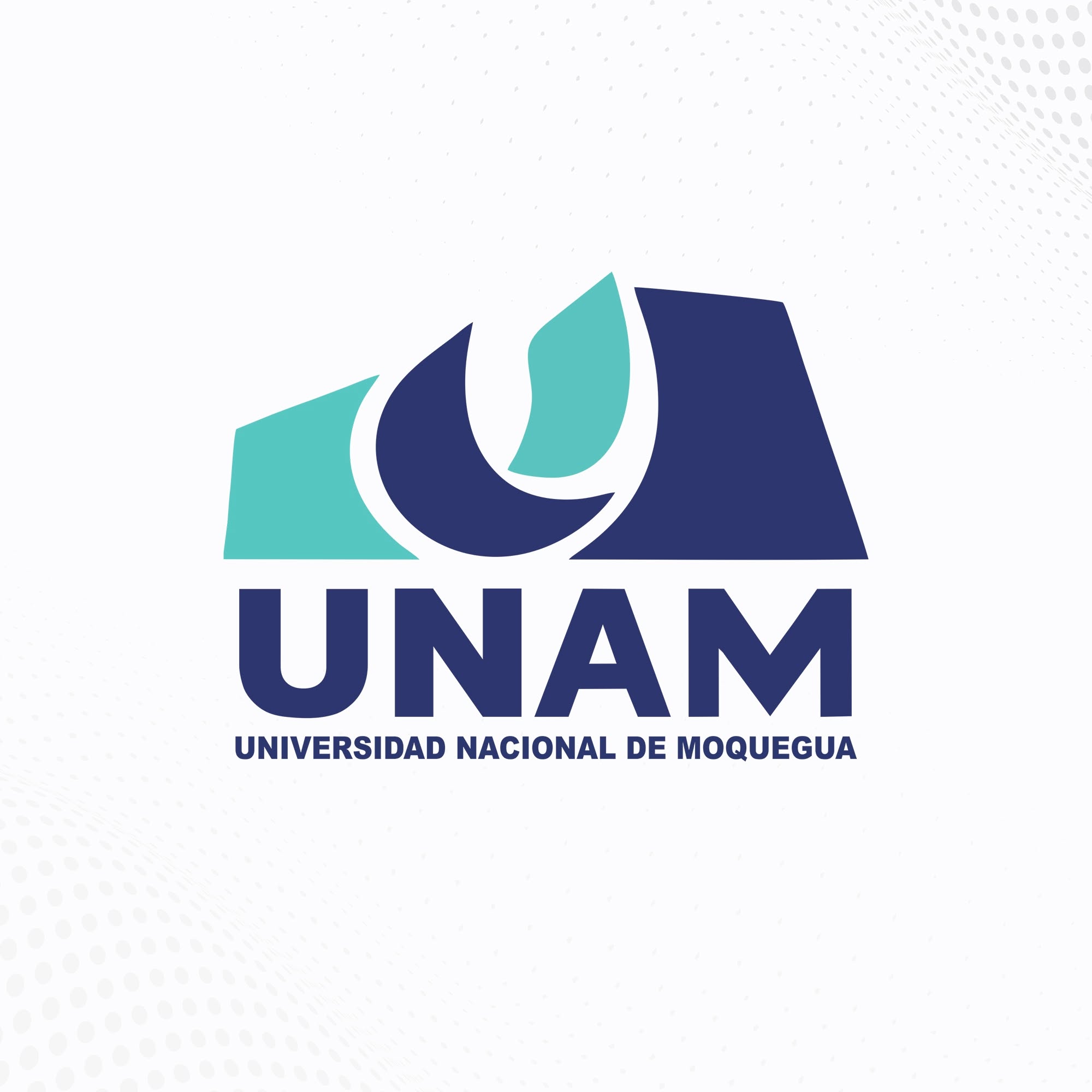 UNIVERSIDAD NACIONAL DE MOQUEGUA